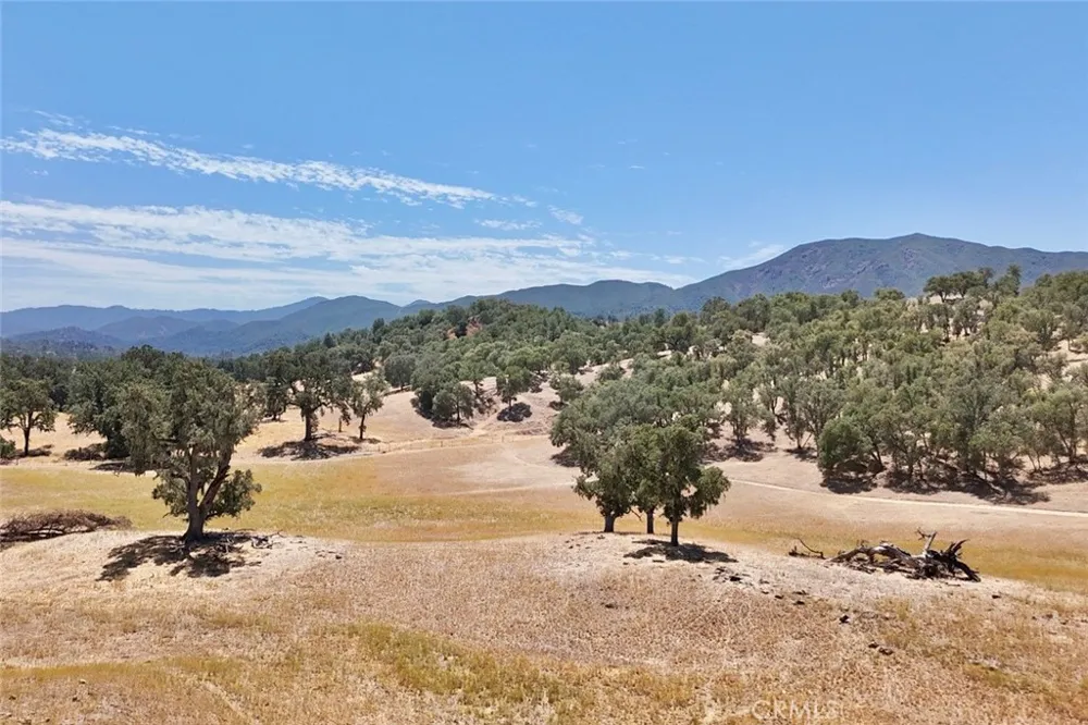 49460 Sapaque Road Bradley, CA 93426