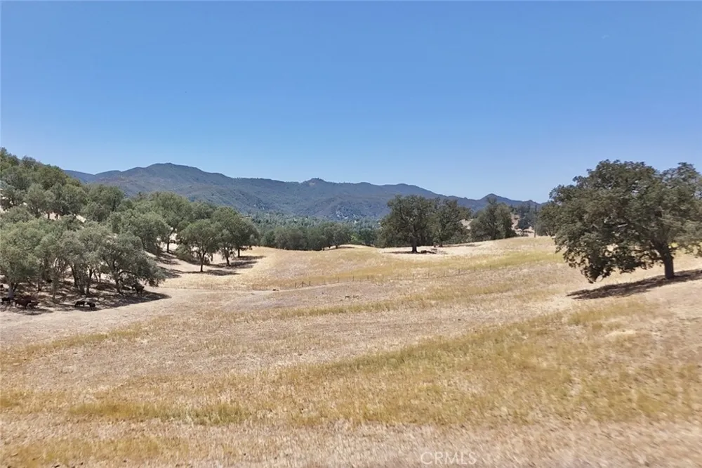 49460 Sapaque Road Bradley, CA 93426