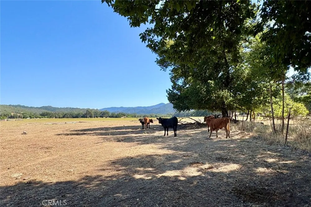 49460 Sapaque Road Bradley, CA 93426