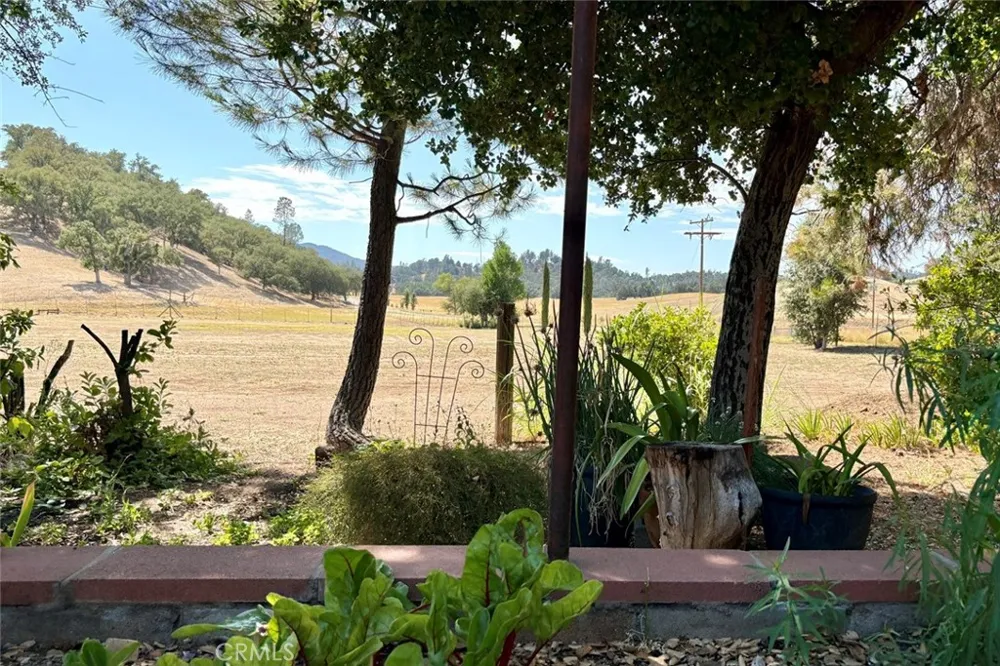 49460 Sapaque Road Bradley, CA 93426