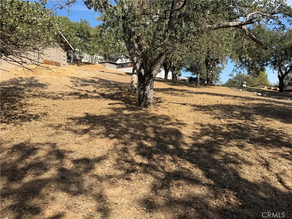 2521 Captains Walk Bradley, CA 93426