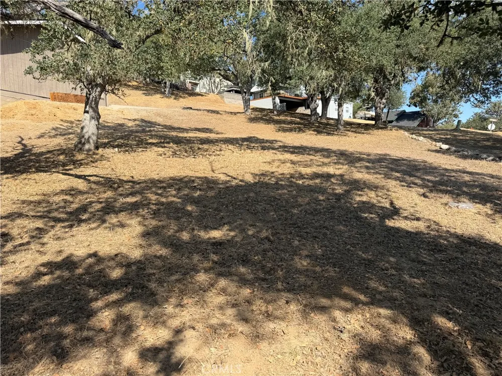 2521 Captains Walk Bradley, CA 93426