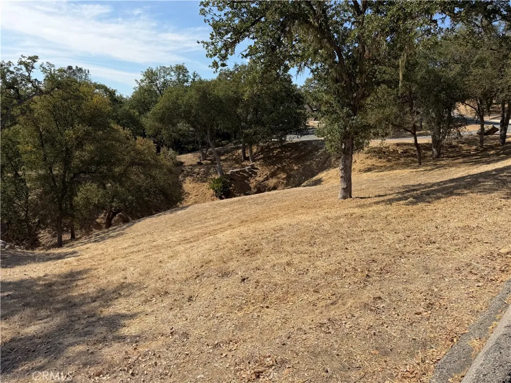 2517 Captains Walk Bradley, CA 93426