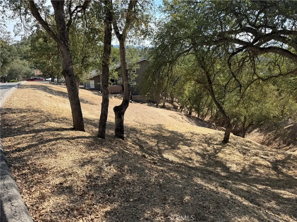 2517 Captains Walk Bradley, CA 93426