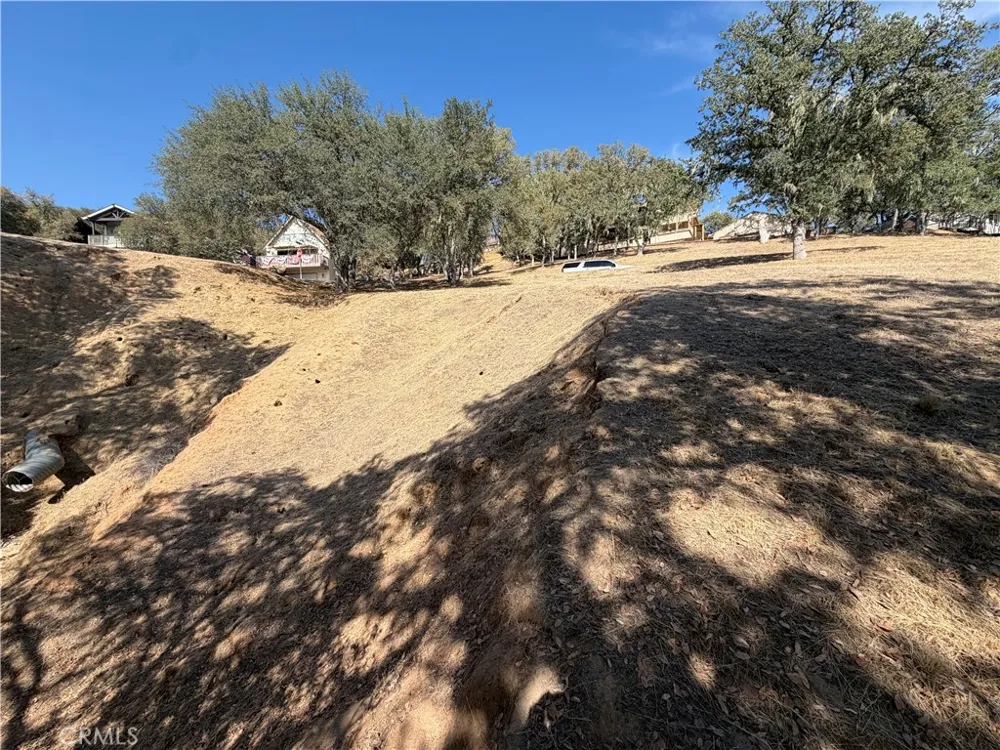 2517 Captains Walk Bradley, CA 93426