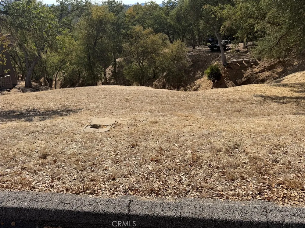 2517 Captains Walk Bradley, CA 93426