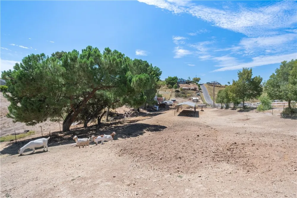 5790 Prancing Deer Place Paso Robles, CA 93446