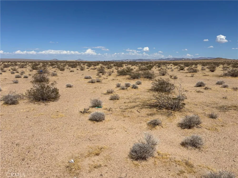 Bragdon Newberry Springs, CA 92365