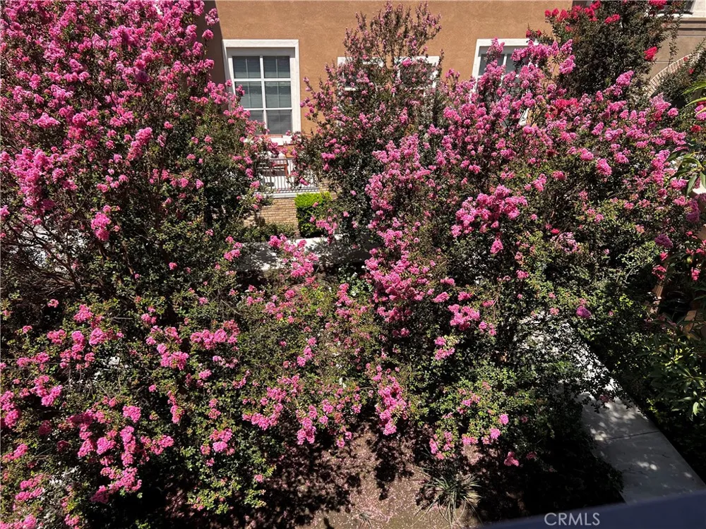 16075 Lancet Drive Whittier, CA 90603