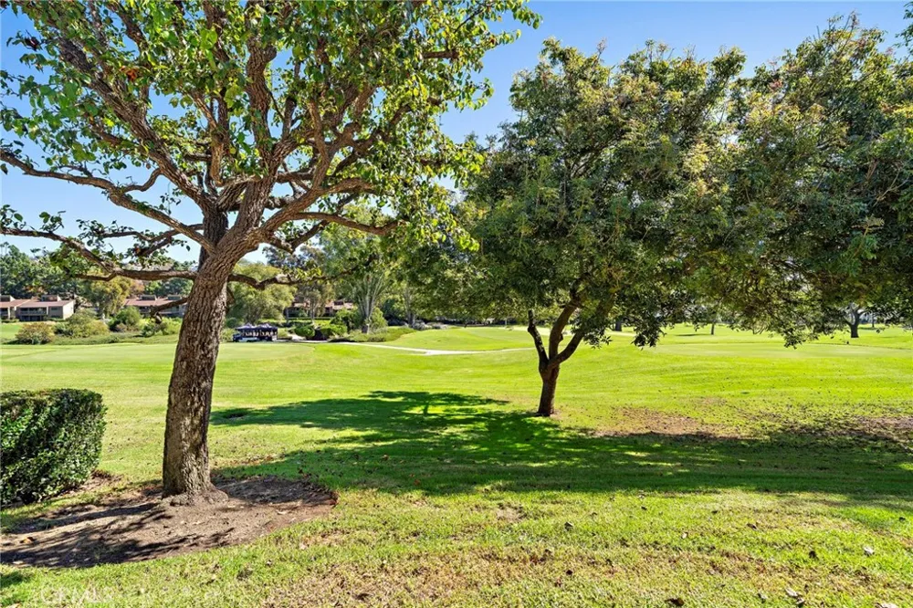 31654 W Nine Drive Laguna Niguel, CA 92677