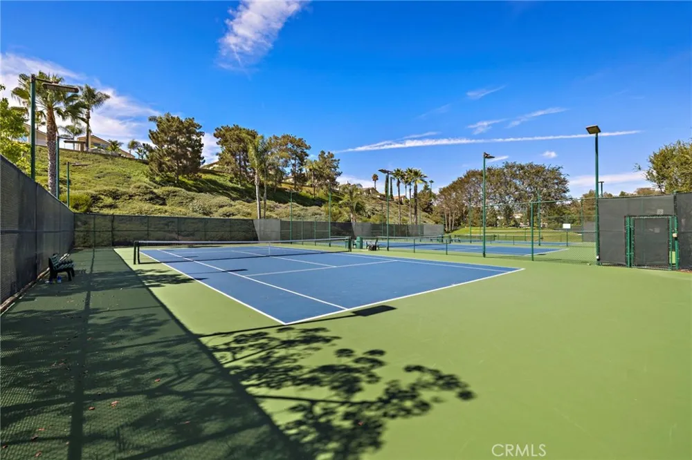 28732 Calle Vista Laguna Niguel, CA 92677