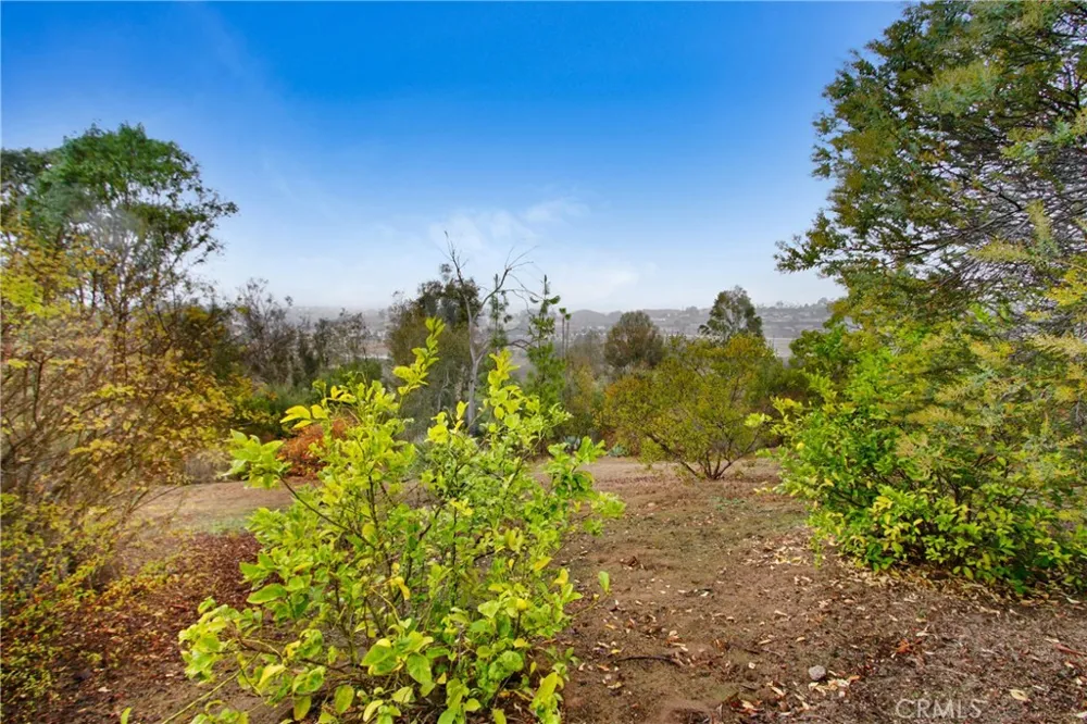 31396 Lake Vista Cir Fallbrook, CA 92003