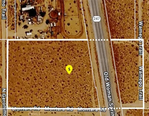 Old Woman Springs Road