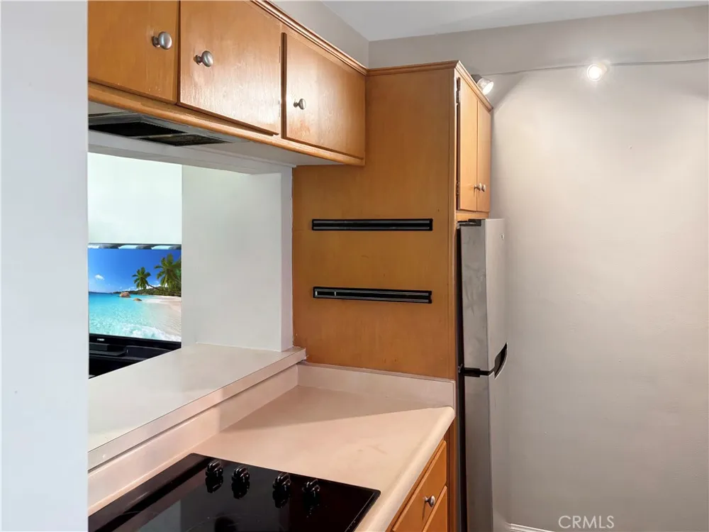 245 Aster #14 Laguna Beach, CA 92651