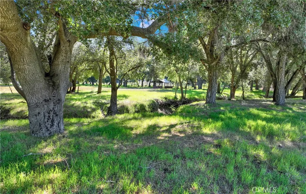 36000 Tenaja Truck Trail Ortega Mountain, CA 92530
