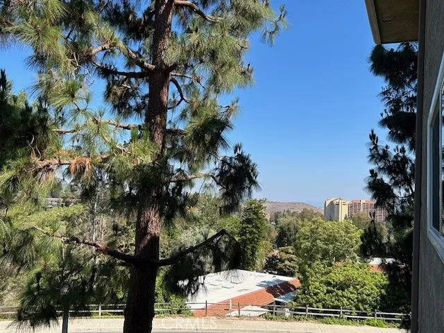 3241 San Amadeo #2B Laguna Woods, CA 92637