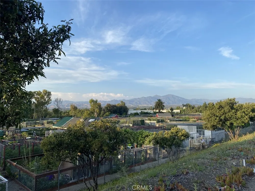 3241 San Amadeo #2B Laguna Woods, CA 92637