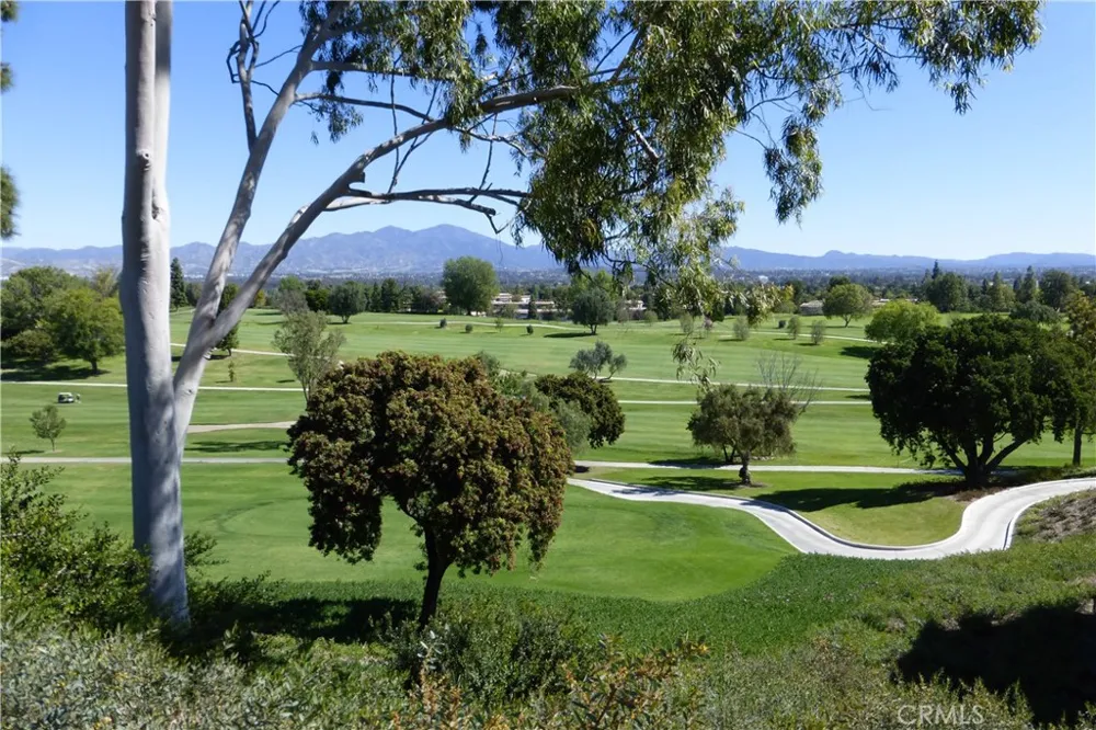 3241 San Amadeo #2B Laguna Woods, CA 92637