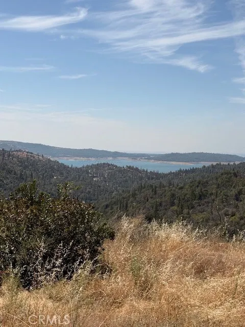 Oro Quincy Hwy Berry Creek, CA 95916