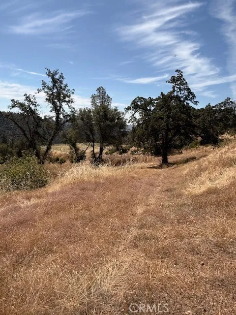 Oro Quincy Hwy Berry Creek, CA 95916