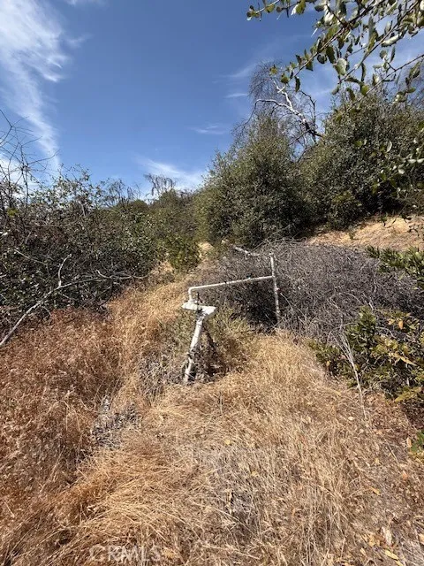 Oro Quincy Hwy Berry Creek, CA 95916