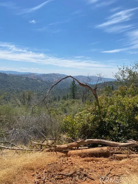 Oro Quincy Hwy Berry Creek, CA 95916
