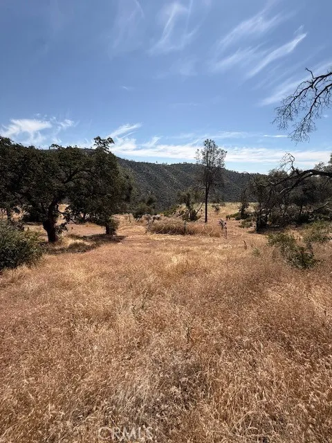 Oro Quincy Hwy Berry Creek, CA 95916