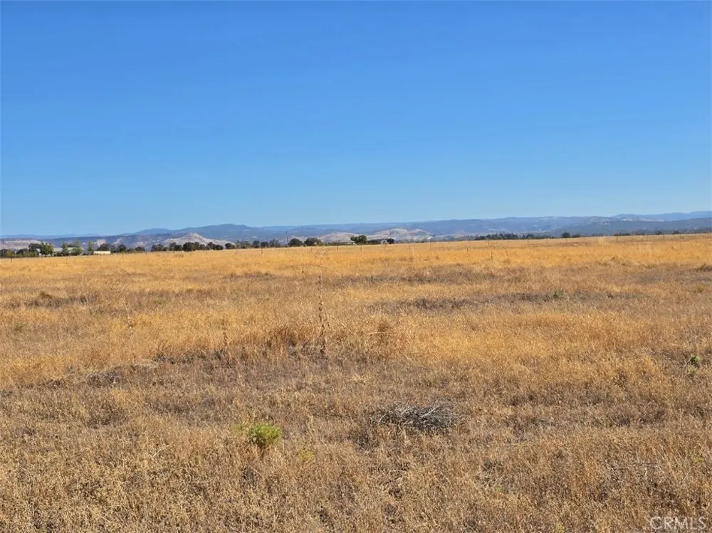 Dutch Oroville, CA 95965