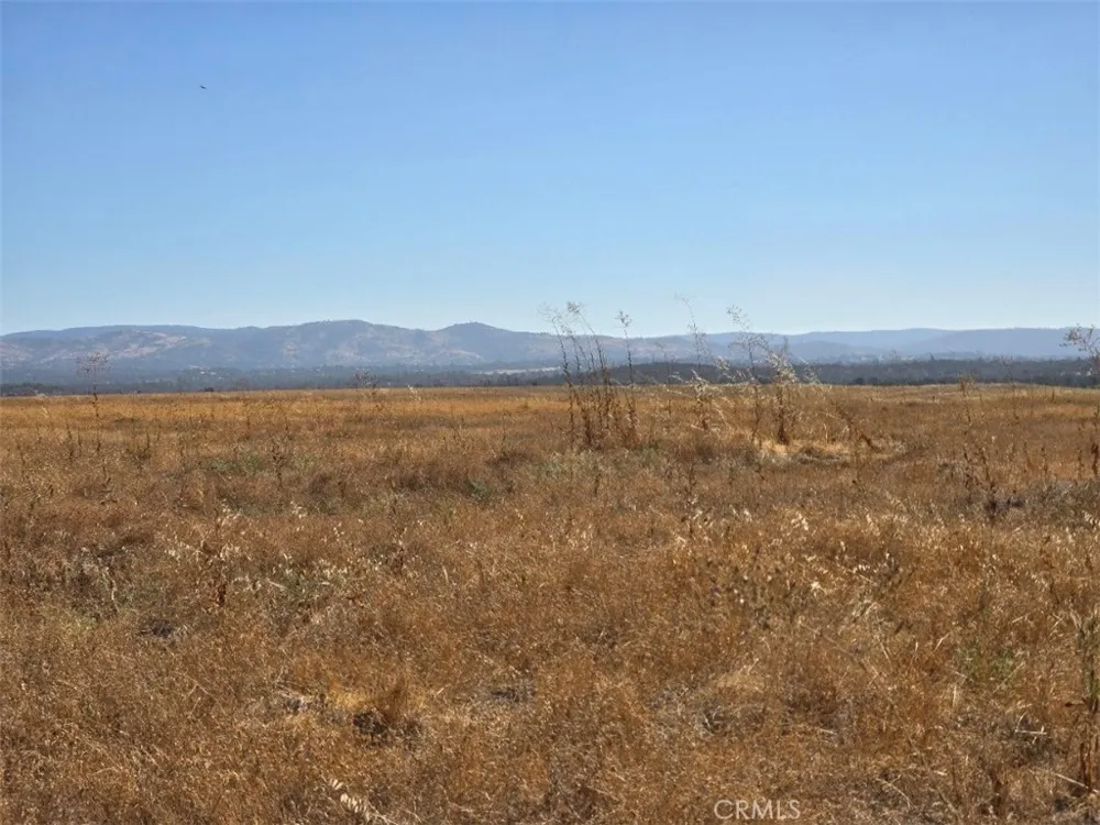 Dutch Oroville, CA 95965