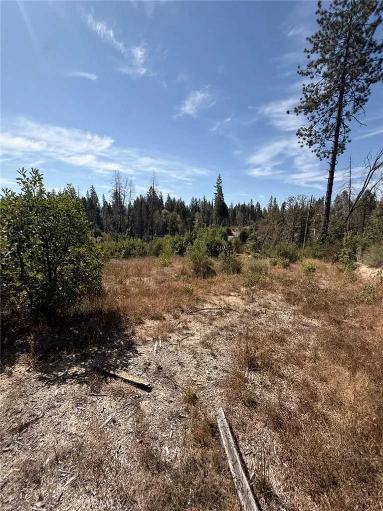 Oak Drive Berry Creek, CA 95916