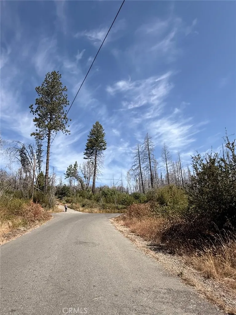 Oak Drive Berry Creek, CA 95916