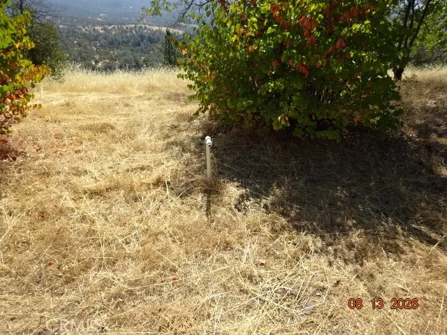 Lookout Mountain Oak Run, CA 96069