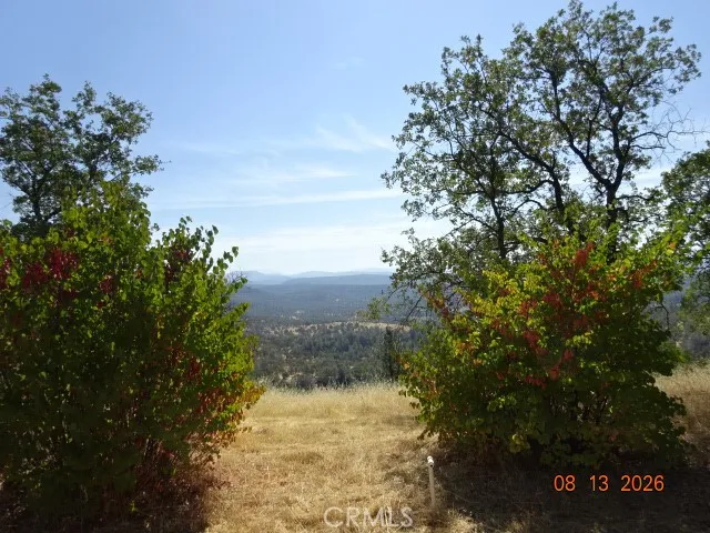 Lookout Mountain Oak Run, CA 96069