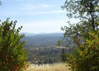 Lookout Mountain Oak Run, CA 96069
