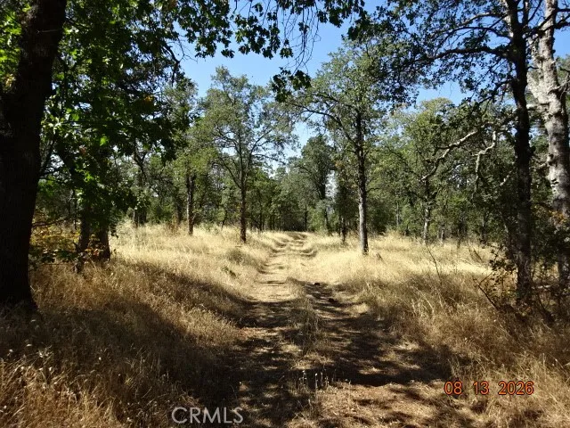 Lookout Mountain Oak Run, CA 96069