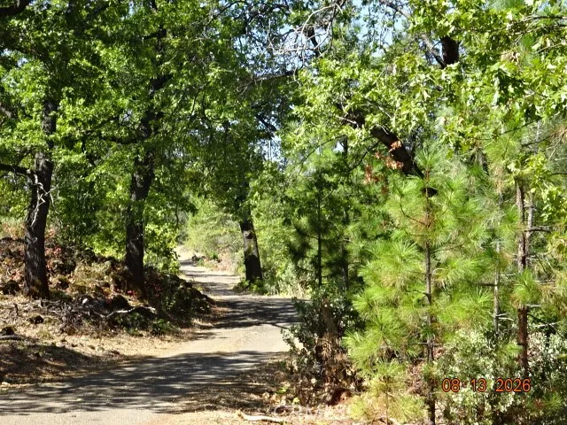 Lookout Mountain Oak Run, CA 96069