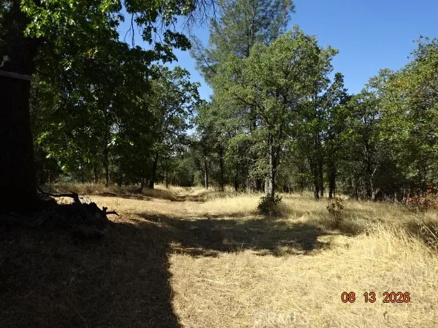 Lookout Mountain Oak Run, CA 96069