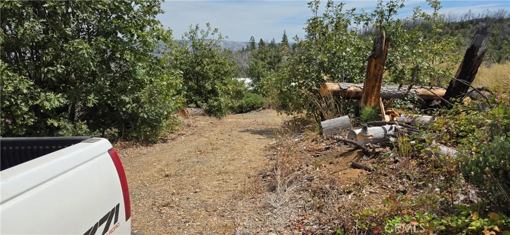 274 Webster Berry Creek, CA 95916