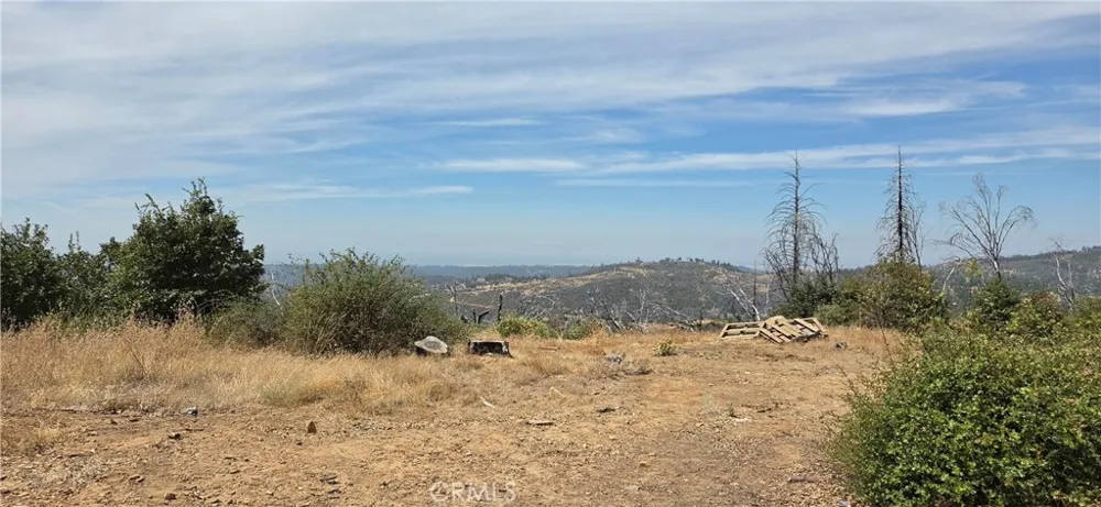 274 Webster Berry Creek, CA 95916