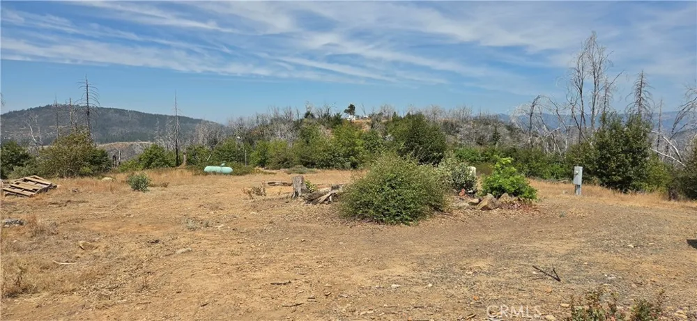 274 Webster Berry Creek, CA 95916
