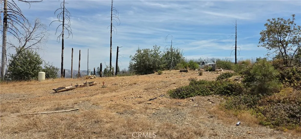 274 Webster Berry Creek, CA 95916