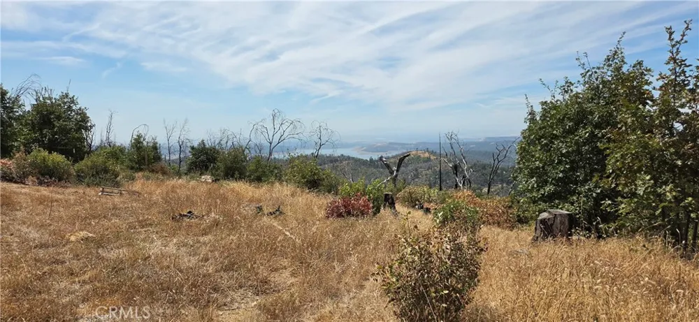 274 Webster Berry Creek, CA 95916