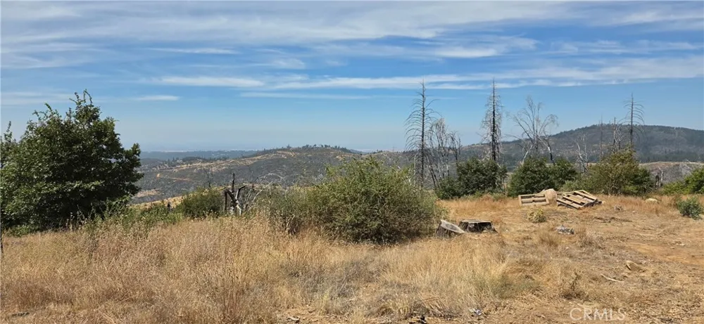 274 Webster Berry Creek, CA 95916