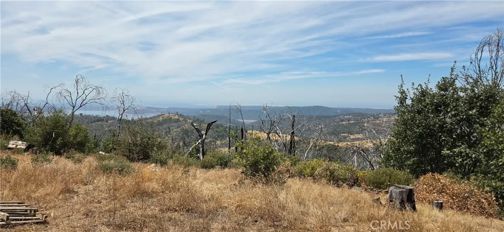 274 Webster Berry Creek, CA 95916