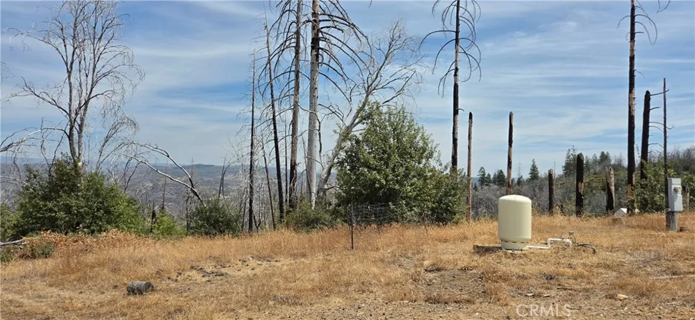 274 Webster Berry Creek, CA 95916