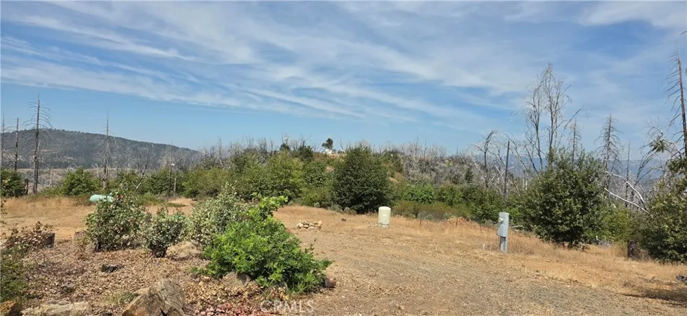 274 Webster Berry Creek, CA 95916