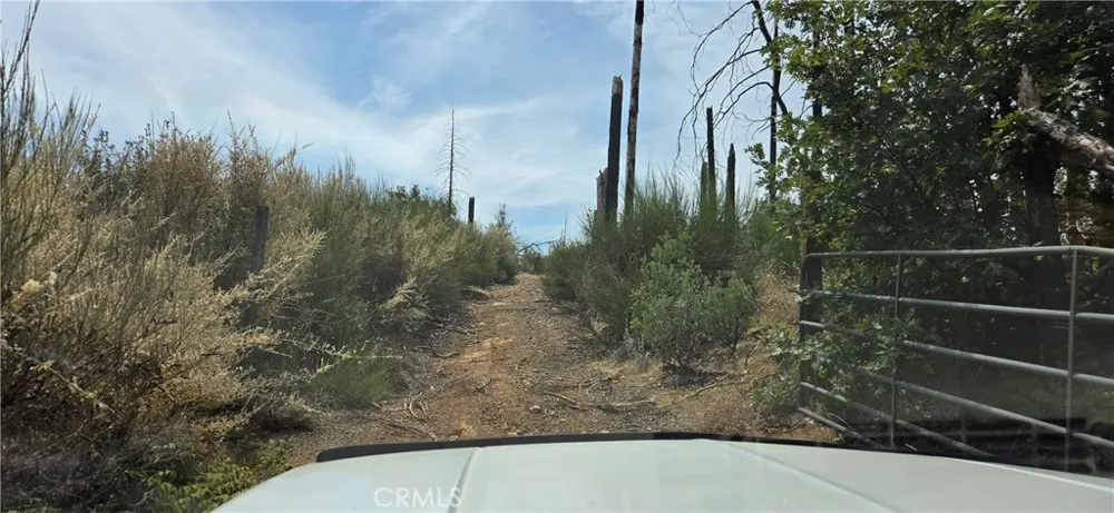 274 Webster Berry Creek, CA 95916