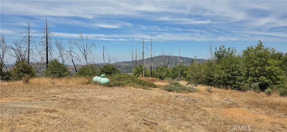 274 Webster Berry Creek, CA 95916