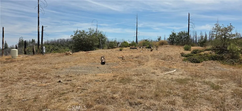 274 Webster Berry Creek, CA 95916