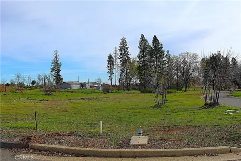 Summerwood
